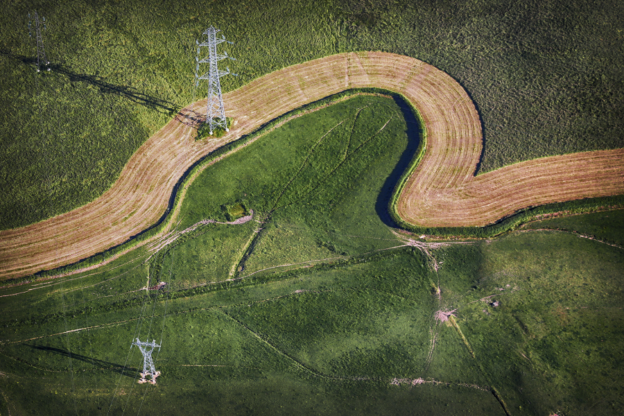 Spaghettis Basilic 7