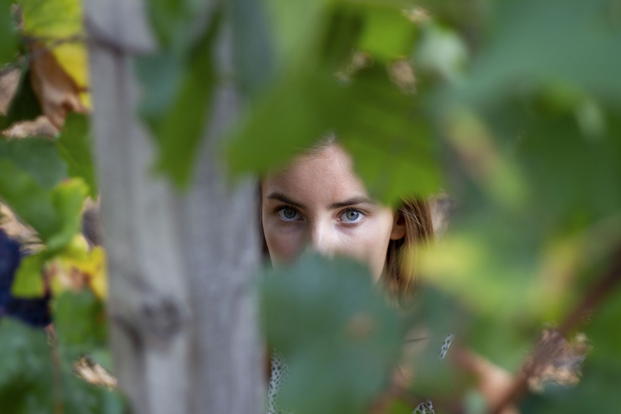 Regard dans les vignes 1