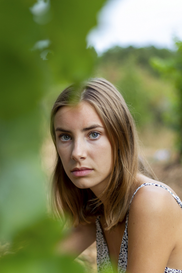 Regard dans les vignes 3
