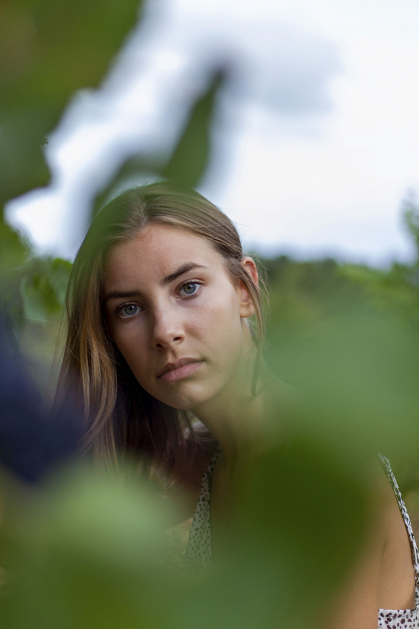 Regard dans les vignes 4