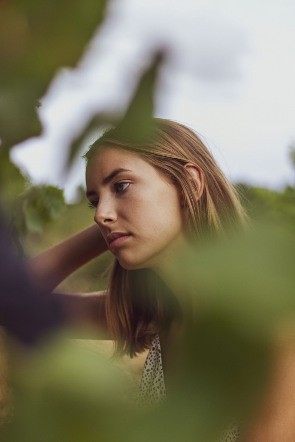 Regard dans les vignes 5