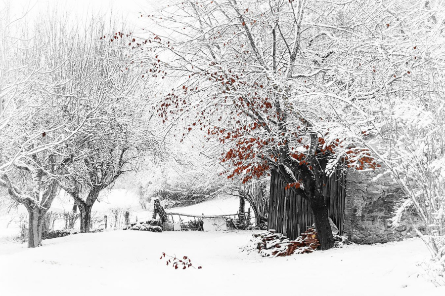 Sous le manteau blanc.