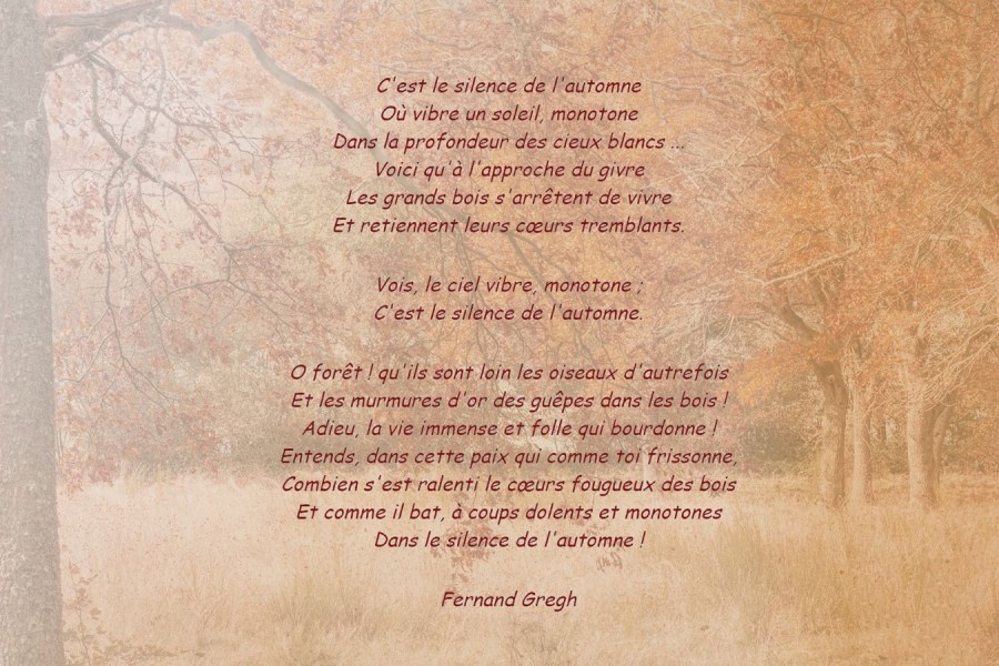 Silence d'automne 7