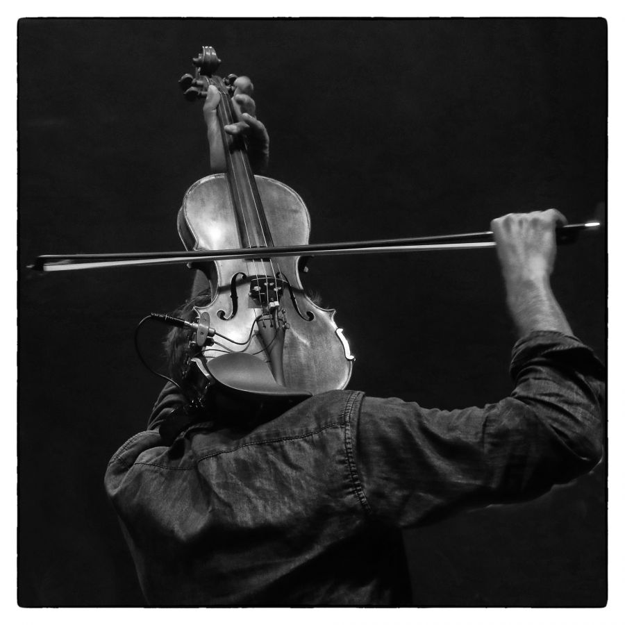 Violon à la folie 001