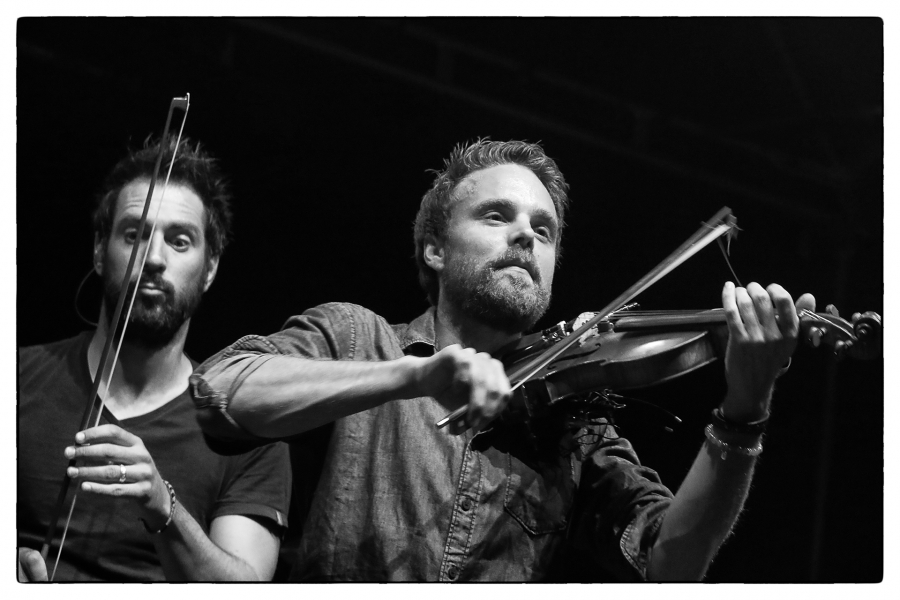 Violon à la folie 03