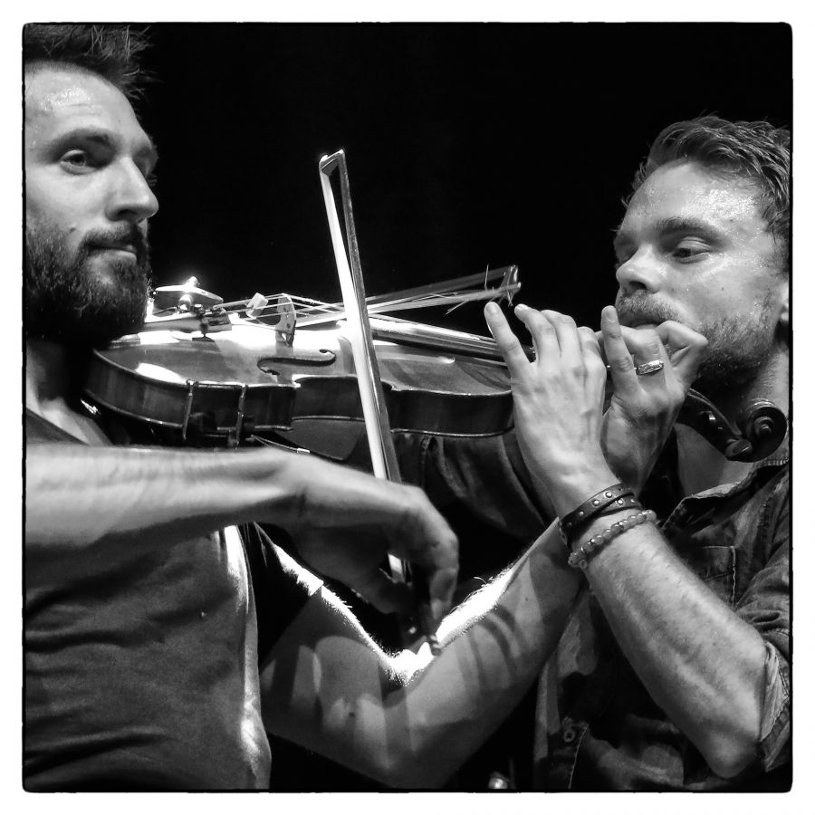 Violon à la folie 10