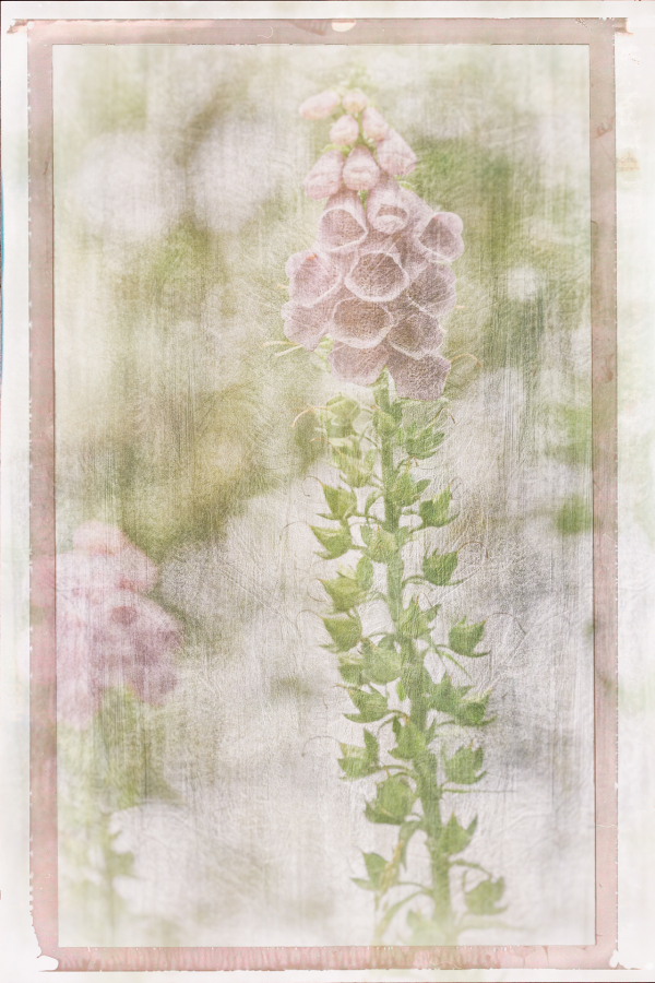 M_Beaufils_Gant de bergère7