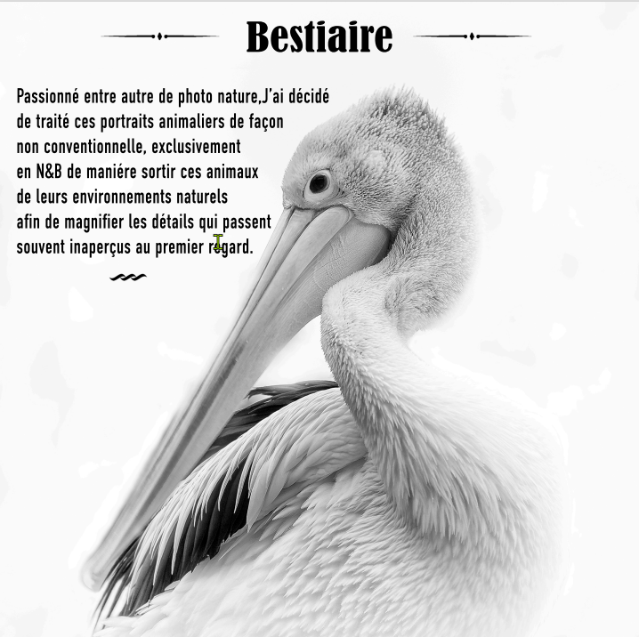 B_Lamboeuf_Bestiaire1