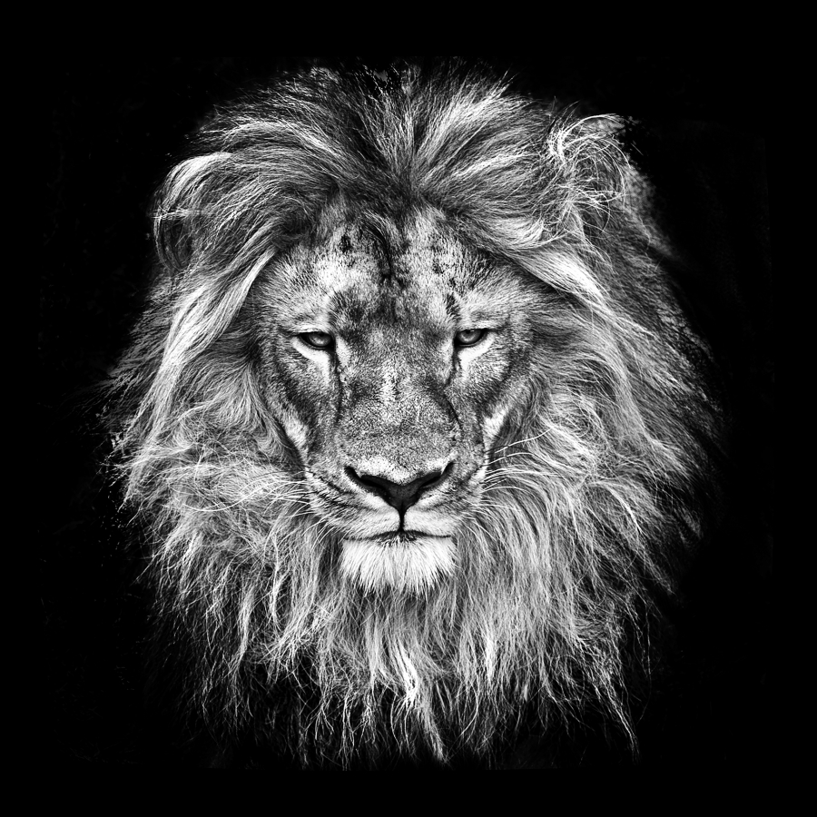 B_Lamboeuf_Bestiaire2