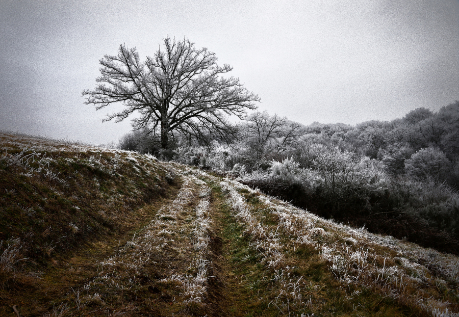 G_Guillet_Ambiance Givrée1