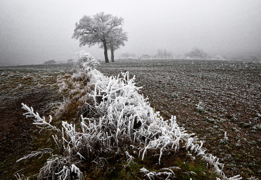 G_Guillet_Ambiance Givrée3
