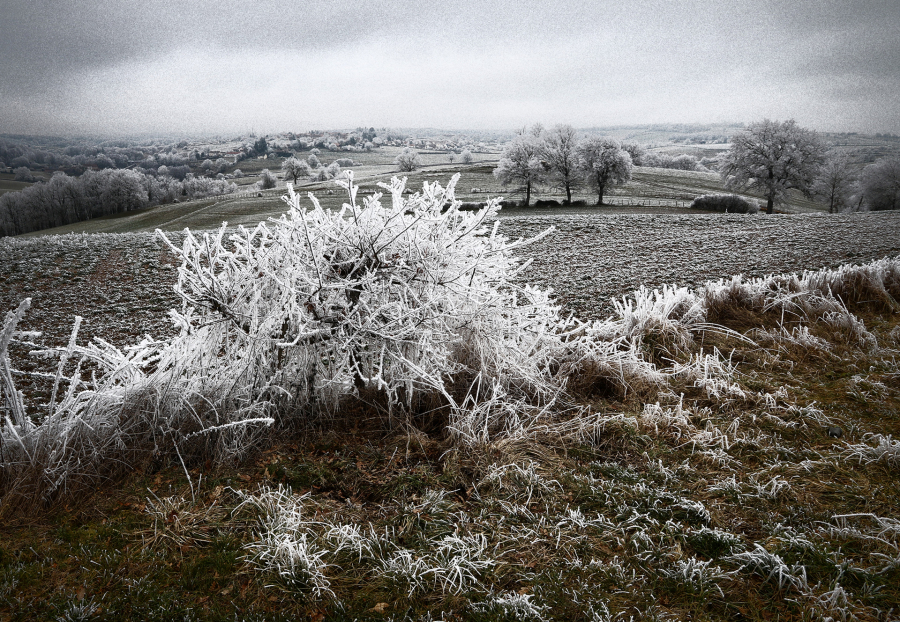 G_Guillet_Ambiance Givrée4