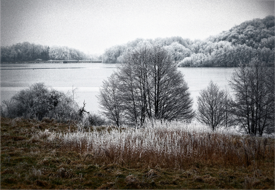 G_Guillet_Ambiance Givrée9