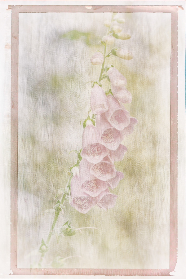 M_Beaufils_Gant de bergère4