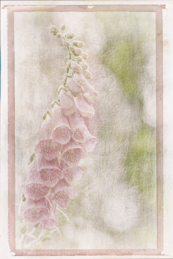 M_Beaufils_Gant de bergère5