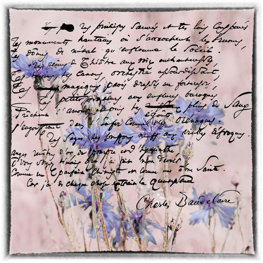 Y_Dumont_Poésie de l'écriture3