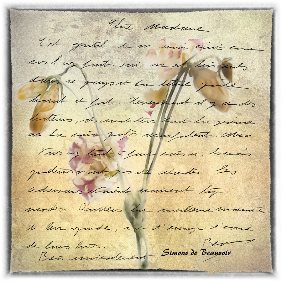 Y_Dumont_Poésie de l'écriture4