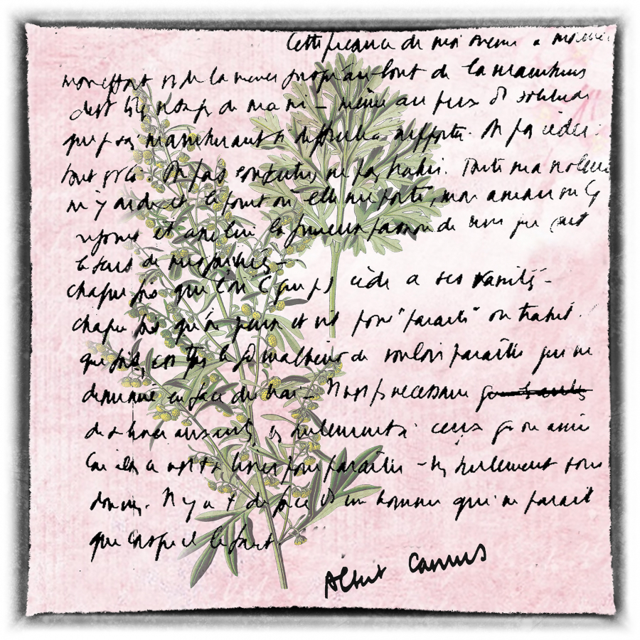 Y_Dumont_Poésie de l'écriture5