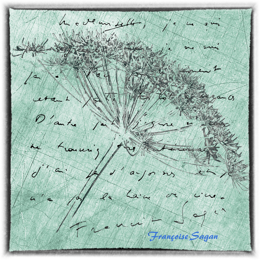 Y_Dumont_Poésie de l'écriture6