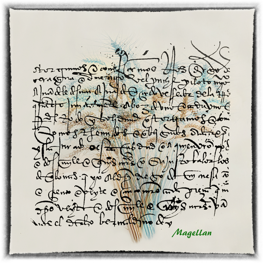 Y_Dumont_Poésie de l'écriture7