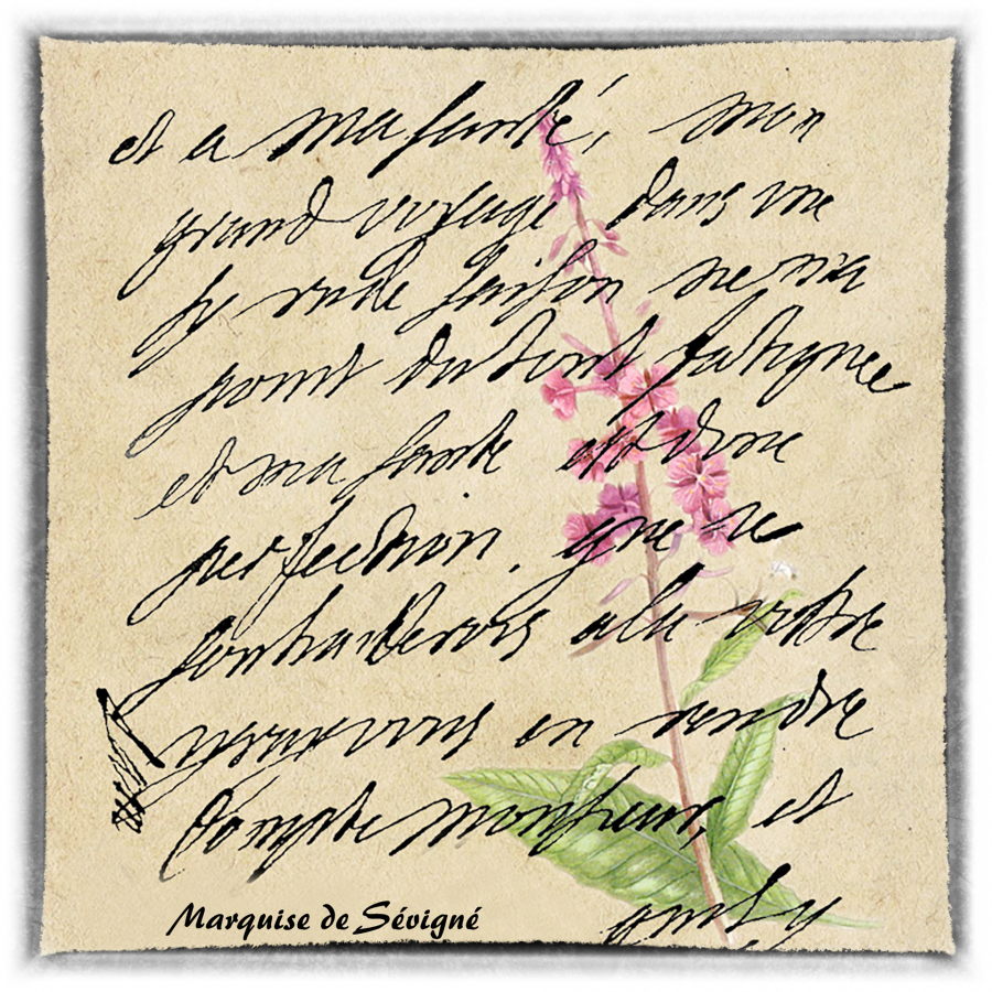 Y_Dumont_Poésie de l'écriture8