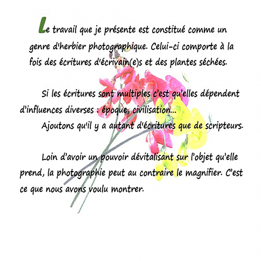 Y_Dumont_Poésie de l'écriture9