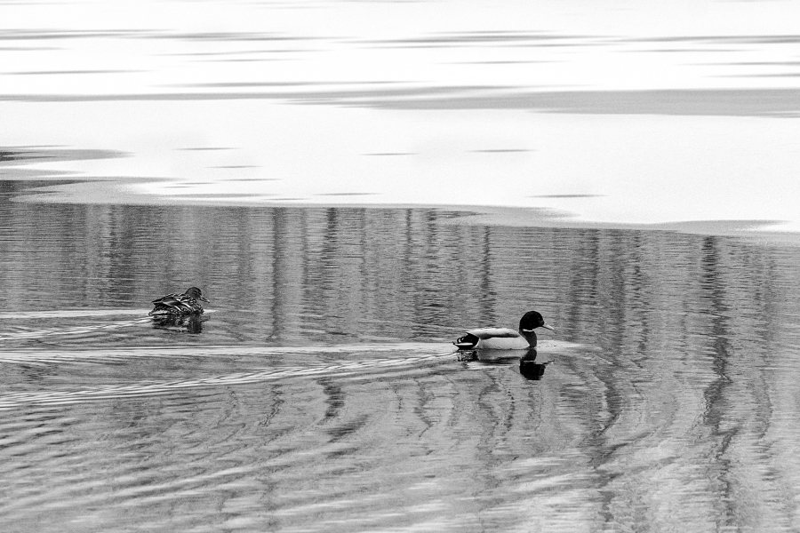 M_Beaufils_Lac blanc4