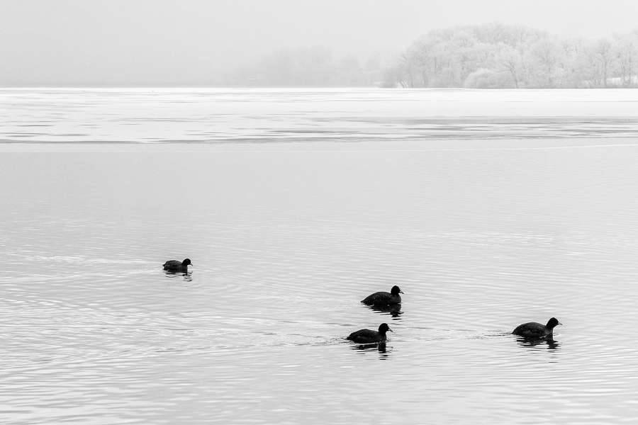 M_Beaufils_Lac blanc7