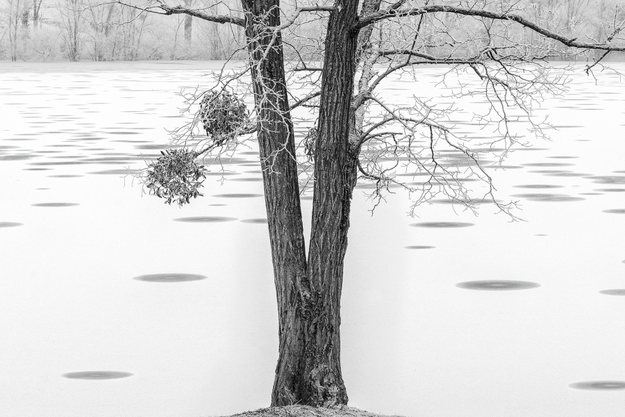 M_Beaufils_Lac blanc8