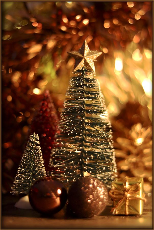 illumination enchantée