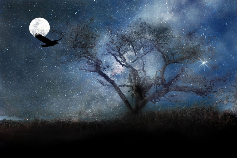 La lune et le corbeau