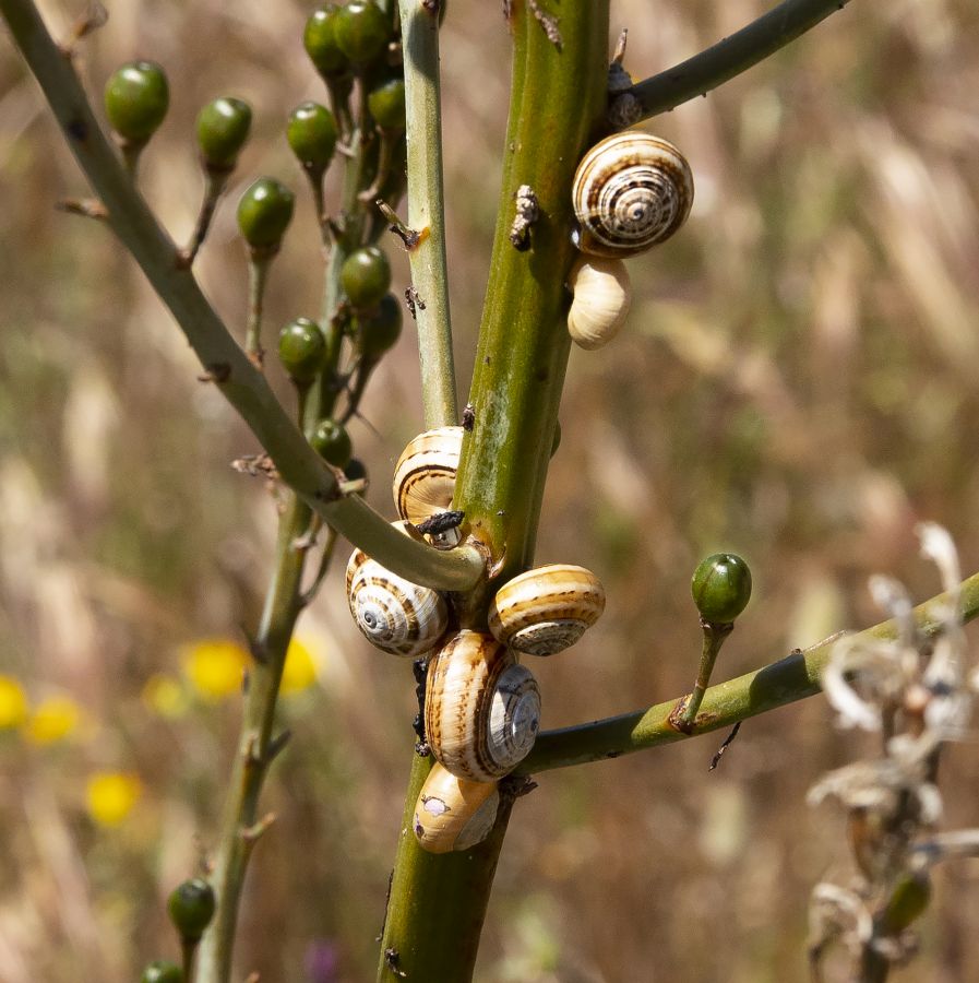 En attendant la pluie