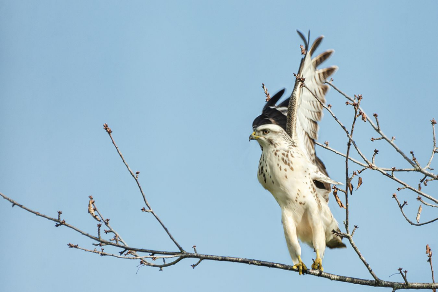 Prêt pour le départ