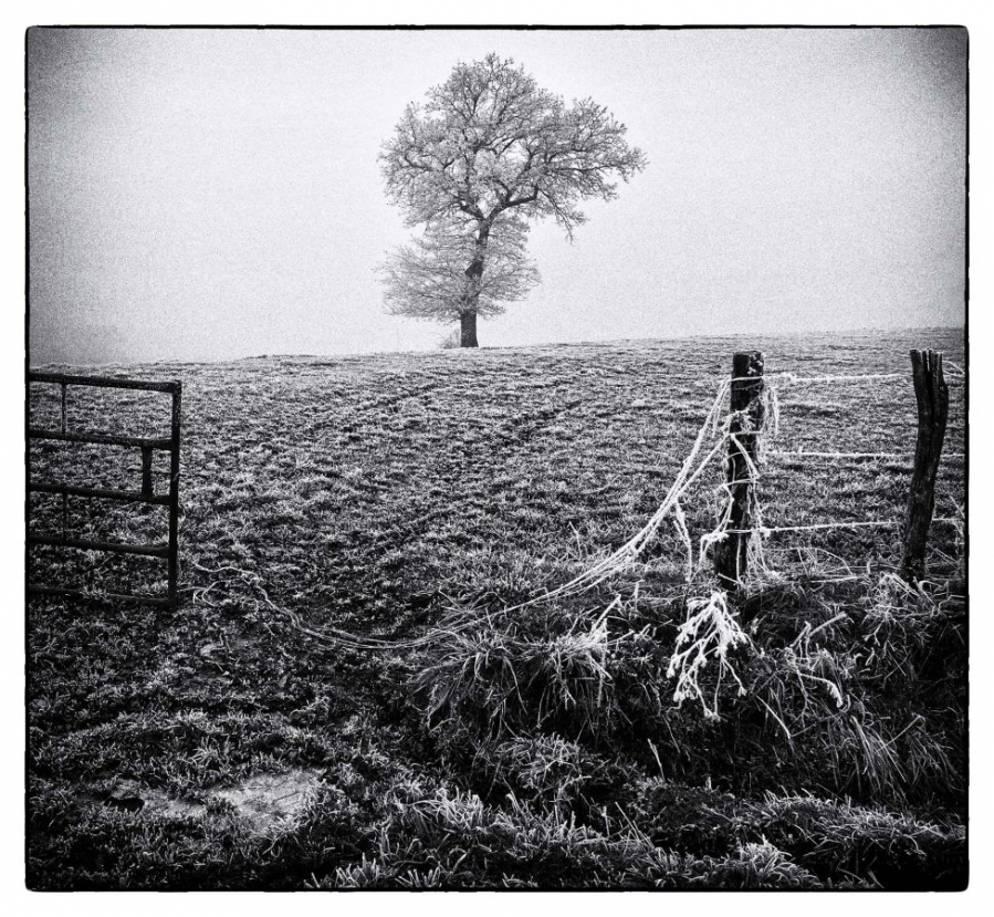 Solitude - Guillet G