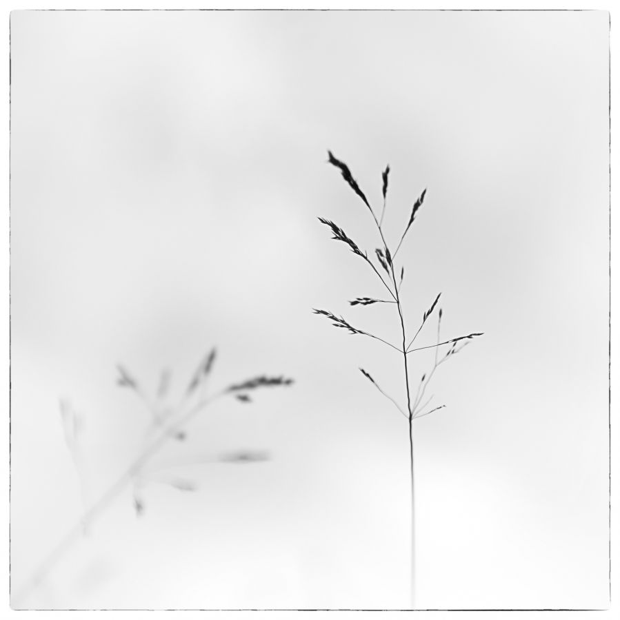 Légèreté  - Guinot E