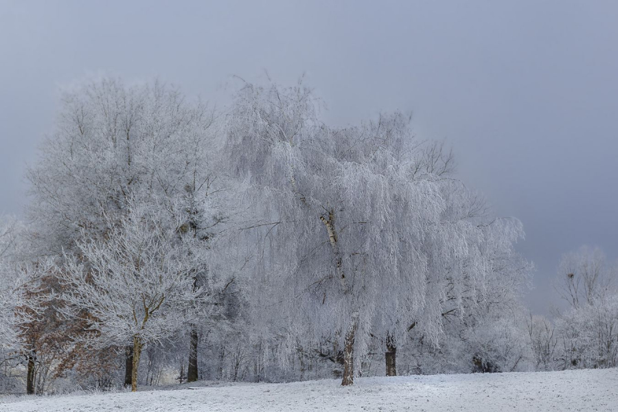 Givrés  - Lamboeuf B