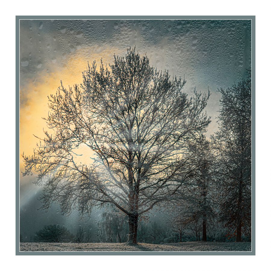 Lumière hivernale - Lamboeuf B