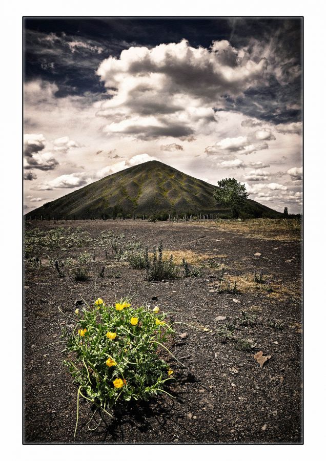 Terril du Nord - Guillet G