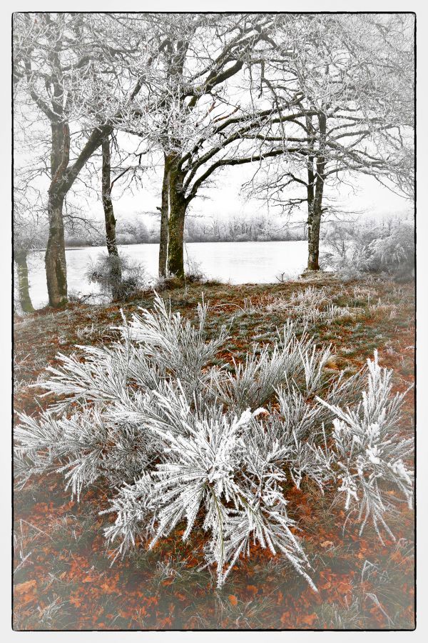 Froidure - Guillet G