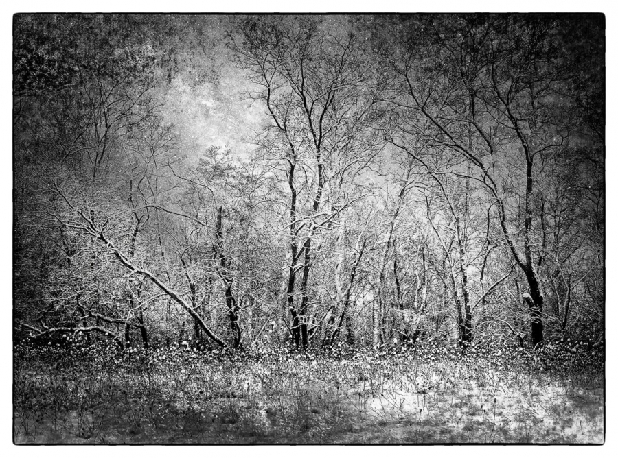 Ambiance Hivernale GUILLET Gilles