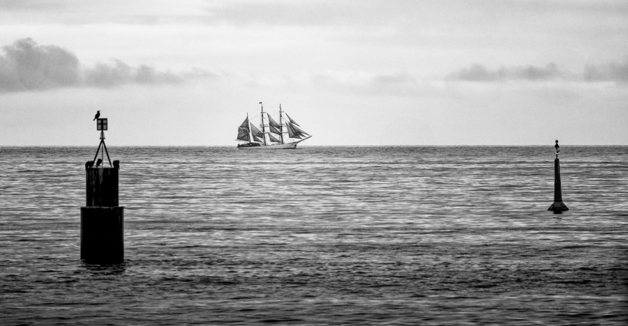 Bon vent FOUEL Jacques