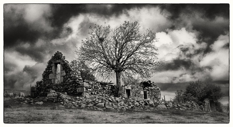 Buron GUILLET Gilles