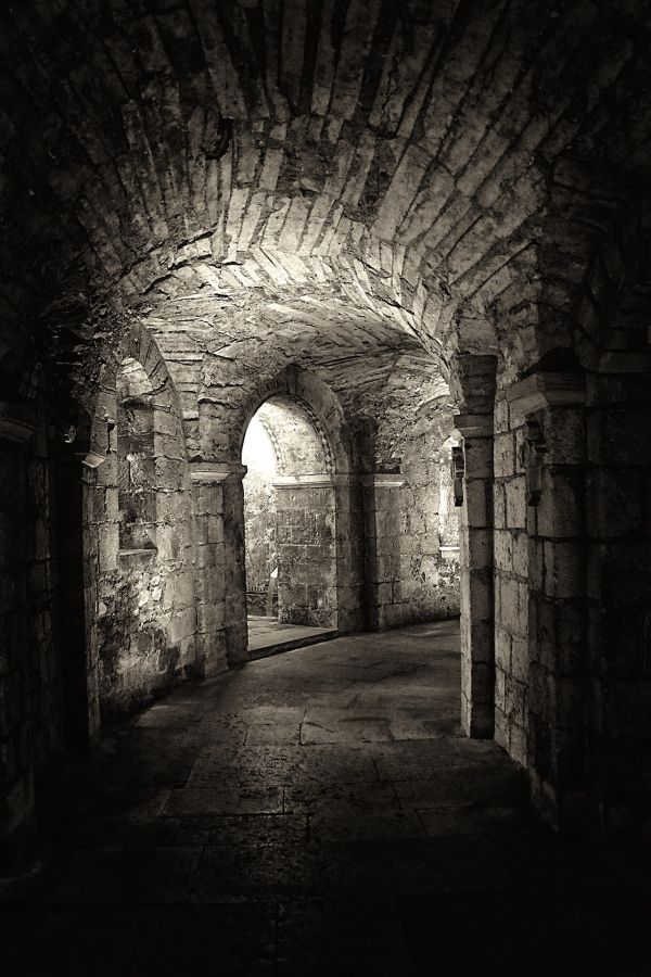 Crypte St Philibert TOURNUS DELEY Daniel