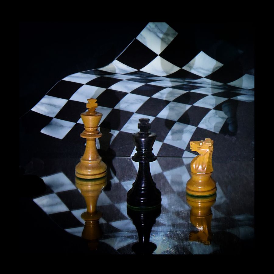 Faire cavalier seul DUMONT Yves