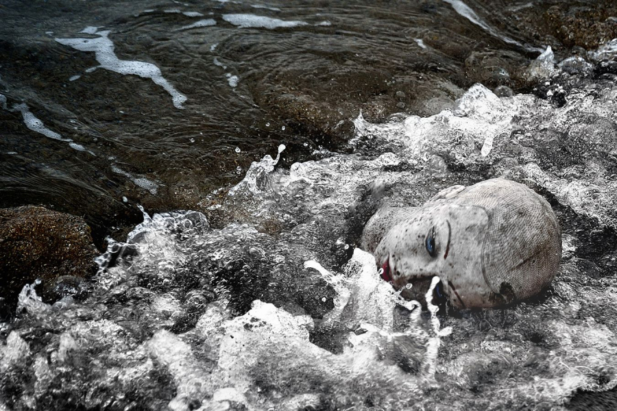 Kalliste BOURDEAU Roger