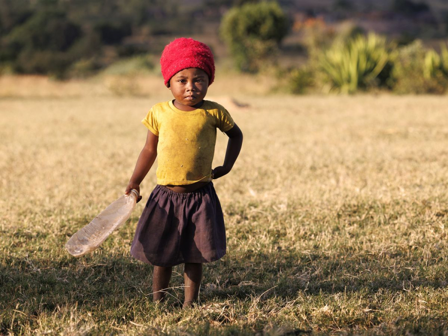 Le Jouet GUINOT Elisabeth