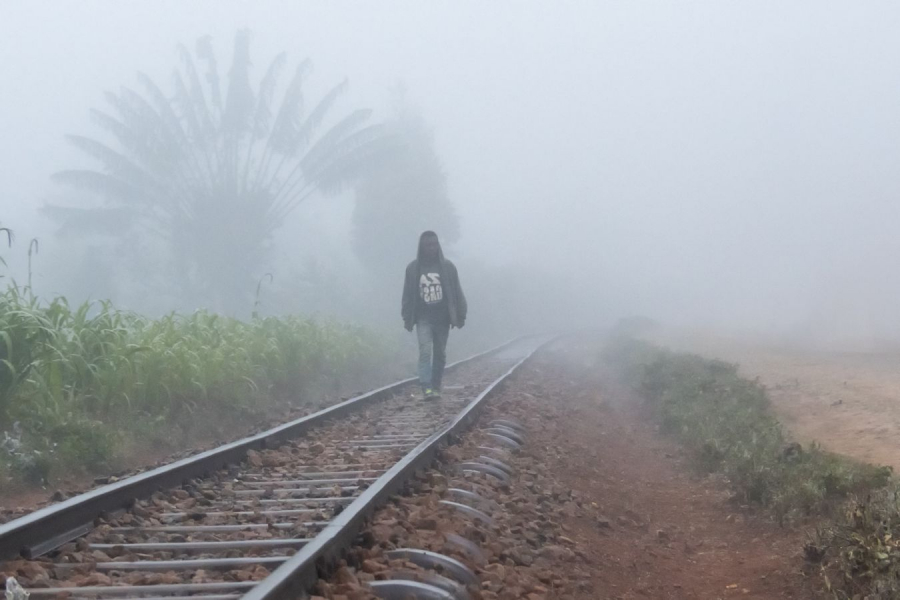 Matinal GUINOT Gilbert