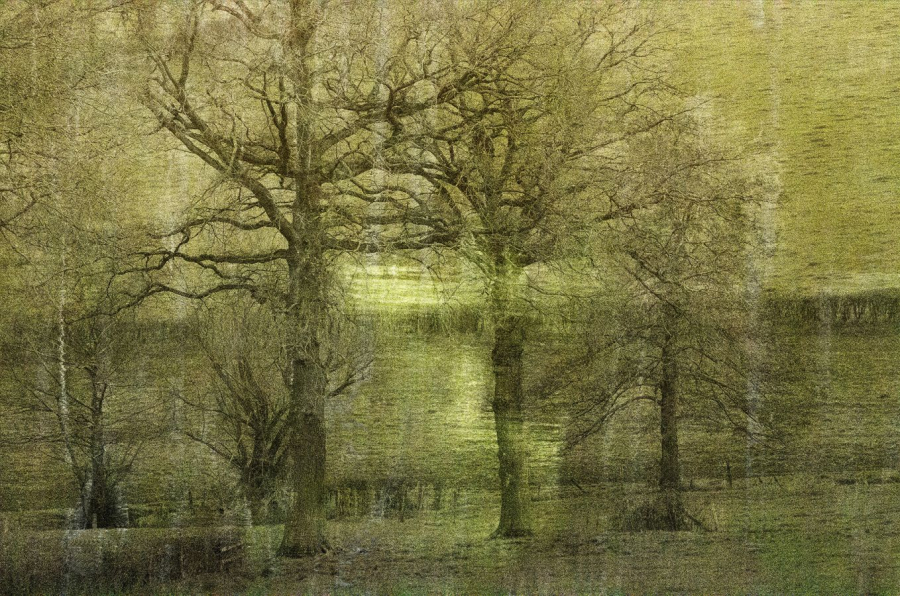 Vibrations BOURDEAU Roger