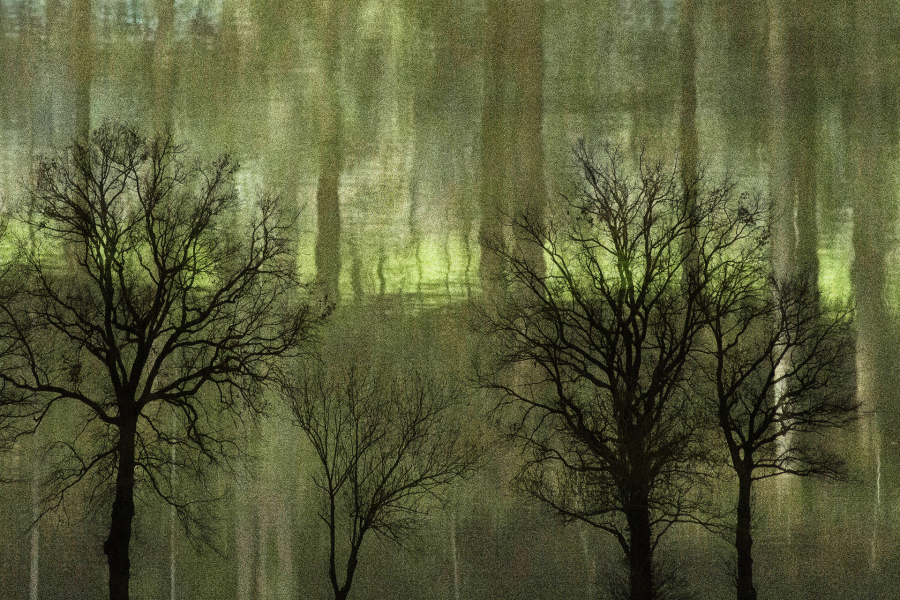 Arbor 2 BOURDEAU Roger_02