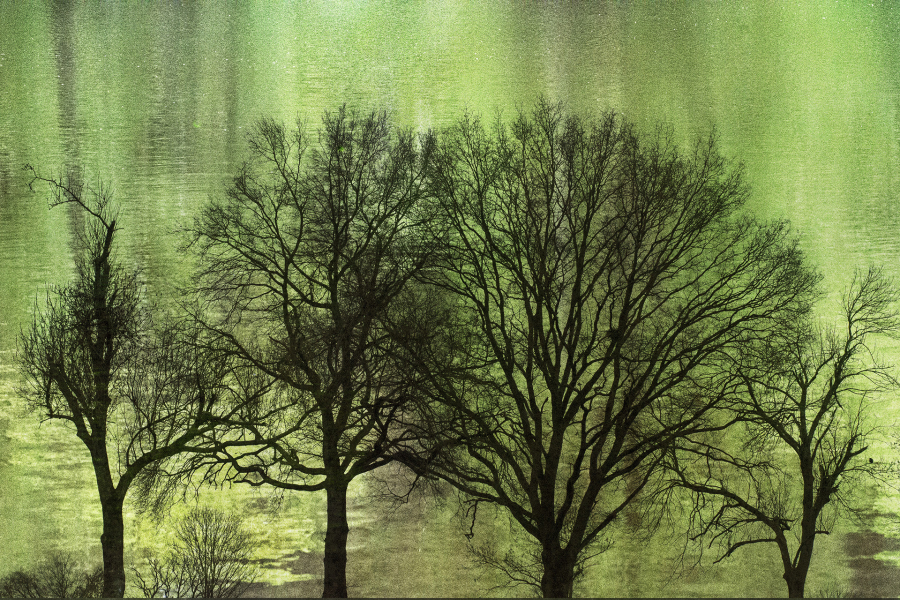 Arbor 2 BOURDEAU Roger_03